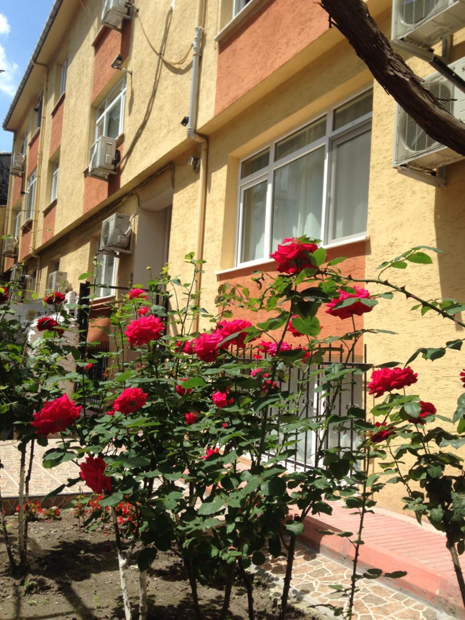 Sultanahmet Deluxe Yilmaz Apart Istanbul Eksteriør billede
